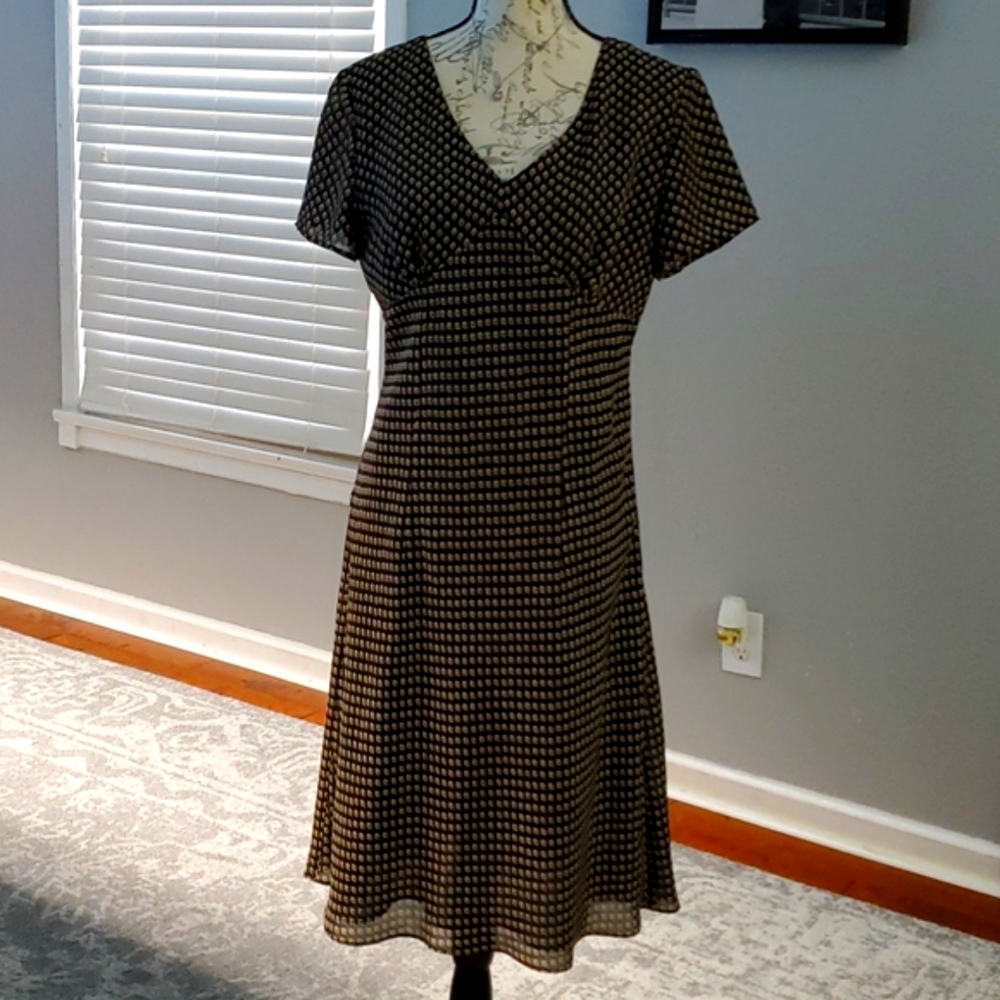 ANN TAYLOR LOFT Vintage empire waist size 10 lined dress
